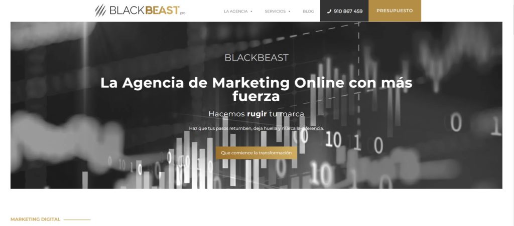 agencia posicionamiento web blackbeast